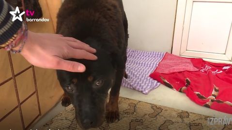 Barrandov pomáhá - Dášenka