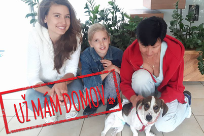 Barandov pomáhá - Scooby