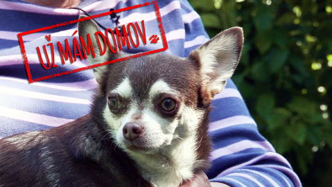 Barrandov pomáhá - Agáta a Daneček