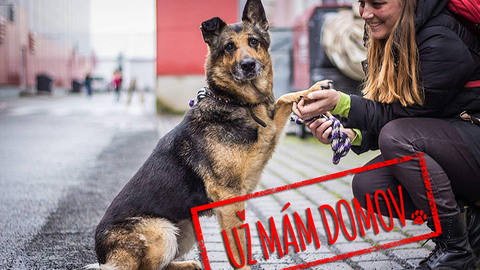 Barrandov pomáhá - Rita