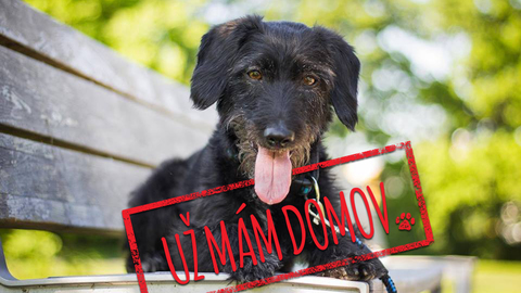 Barrandov pomáhá - Otík