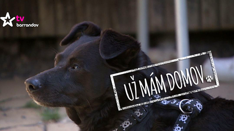 Barrandov pomáhá - Šotek