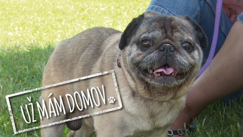 Barrandov pomáhá - Muf