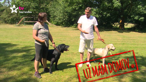 Barrandov pomáhá - Lucky a Bady