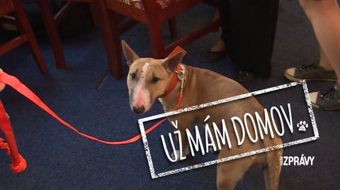 Barrandov pomáhá - Eliška