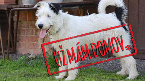 Barrandov pomáhá - Edík