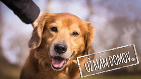 Barrandov pomáhá - Kuba