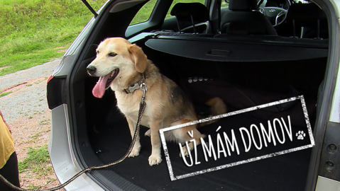 Barrandov pomáhá - Inty