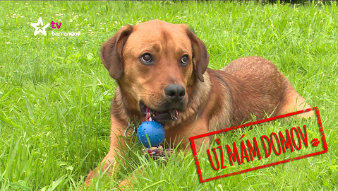 Barrandov pomáhá - Edík