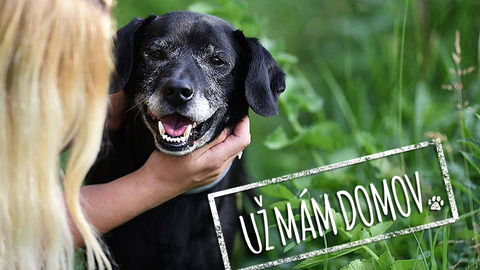 Barrandov pomáhá - Bady