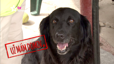 Barrandov pomáhá - Ťapinka