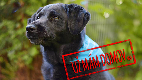 Barrandov pomáhá - Coudy