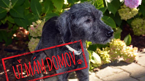 Barrandov pomáhá - Eliáš