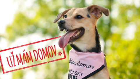 Barrandov pomáhá - Ellie