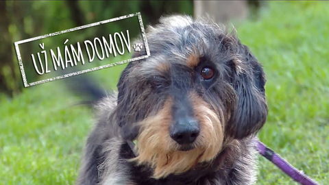 Barrandov pomáhá - Adam