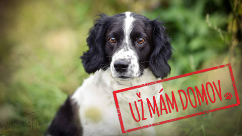 Barrandov pomáhá - Charlie