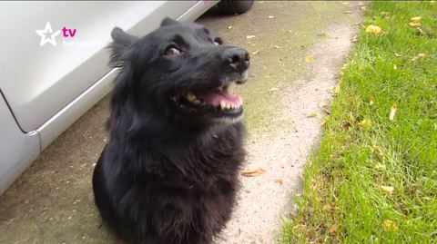 Barrandov pomáhá - Bára