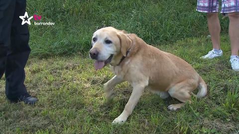 Barrandov pomáhá - Dědeček