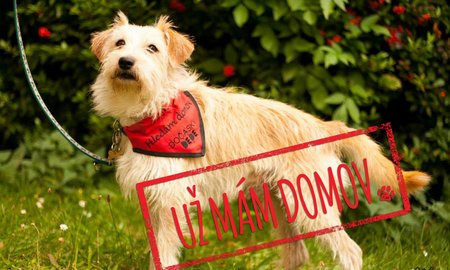 Barrandov pomáhá - Theo