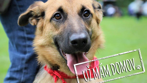 Barrandov pomáhá - Kayla a Mona