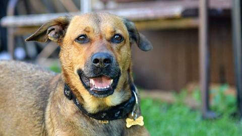 Barrandov pomáhá - Anička