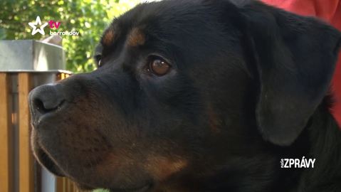 Barrandov pomáhá - Bastien