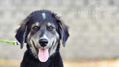 Barrandov pomáhá - Monty