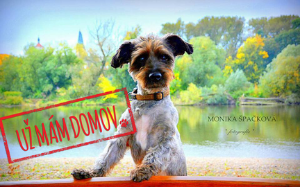 Barrandov pomáhá - Ferda