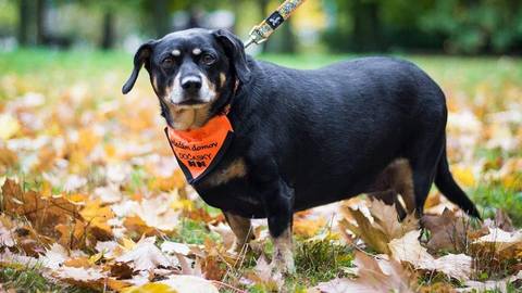 Barrandov pomáhá - Betynka
