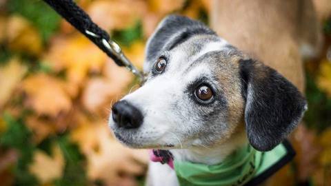 Barrandov pomáhá - Kima