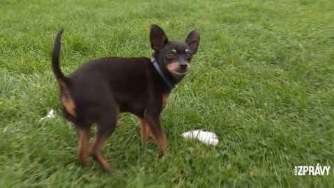 Barrandov pomáhá - Richie