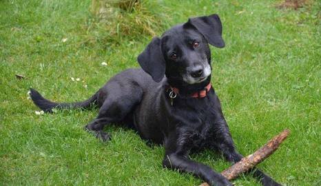 Barrandov pomáhá - Mia