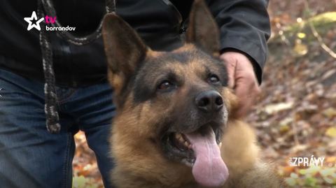 Barrandov pomáhá - Rex