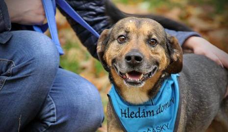 Barrandov pomáhá - Bax