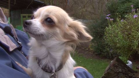 Barrandov pomáhá - Lucinka