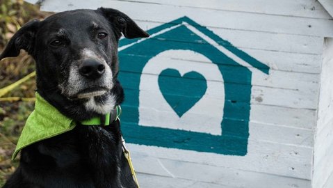 Barrandov pomáhá - Chico