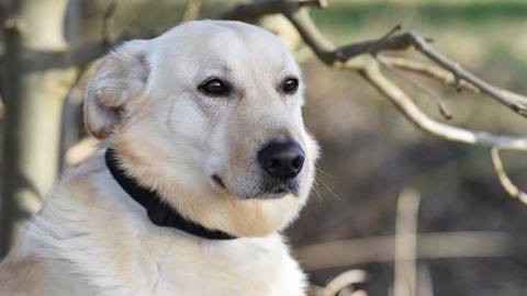 Barrandov pomáhá - Edvard