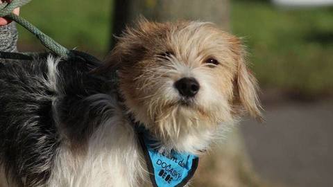 Barrandov pomáhá - Maxík