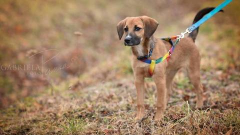 Barrandov pomáhá - Tara