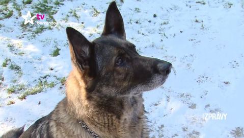 Barrandov pomáhá – Sandy