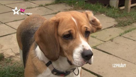 Barrandov pomáhá - Kelly