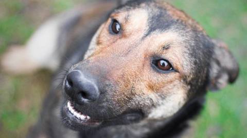 Barrandov pomáhá - Barunka