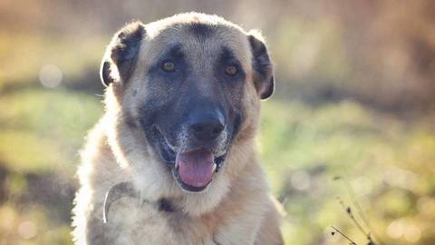 Barrandov pomáhá – Apollo
