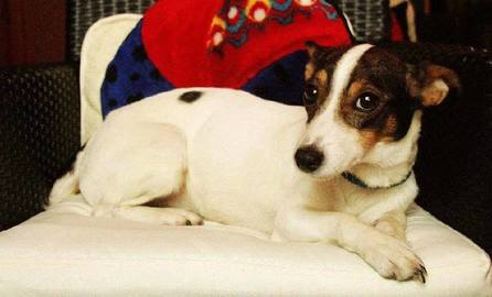 Barrandov pomáhá - Jesinka