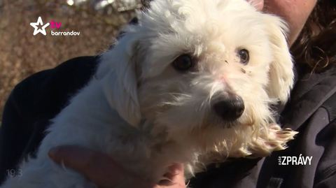 Barrandov pomáhá - Majk