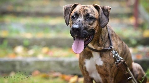 Barrandov pomáhá - Brix