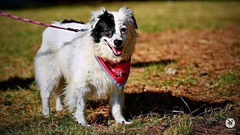 Barrandov pomáhá - Anežka