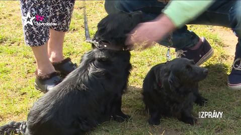 Barrandov pomáhá - Jája a Pája