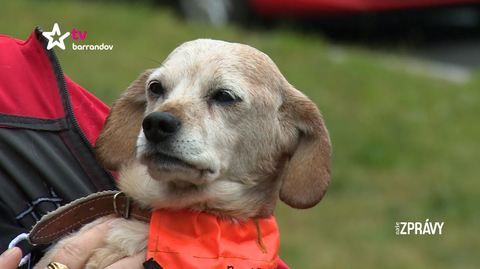 Barrandov pomáhá - Punťa
