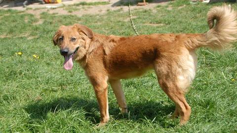 Barrandov pomáhá - Lučina